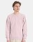 Hanes Unisex EcoSmart Crewneck Sweatshirt for Casual, Cozy & Everyday Comfort Wear